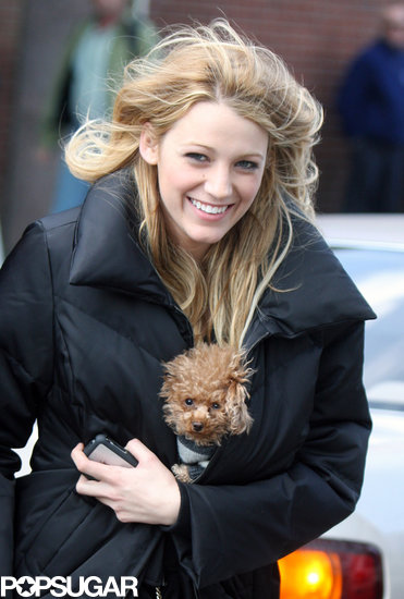 Blake Lively braved the NYC wind with her tiny little pup, Penny, while on the set of Gossip Girl back in March 2008.
Blake Lively braved the NYC wind with her tiny little pup, Penny, while on the set of Gossip Girl back in March 2008.