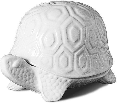 It's Turtle Time