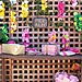 Leis