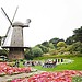 Tulip Gardens