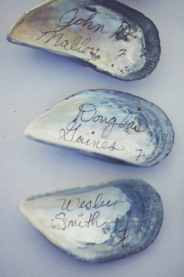Oyster Shells Oyster Shells