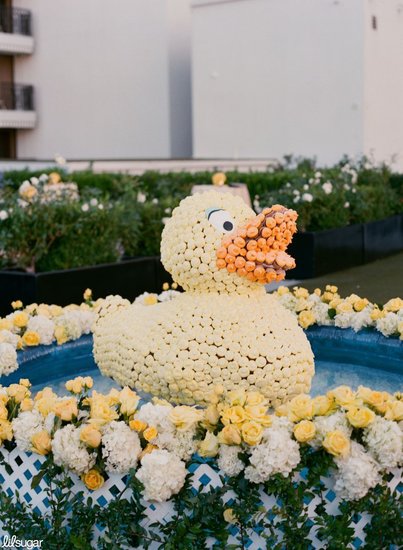 Quack, Quack Quack, Quack