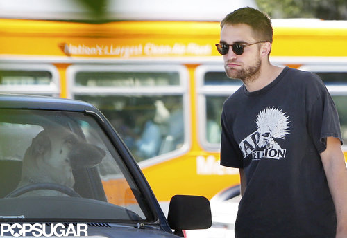 Robert Pattinson spotted a dog in a car.
Robert Pattinson spotted a dog in a car.