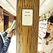 Shelf Life