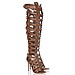 Altuzarra x Gianvito Rossi