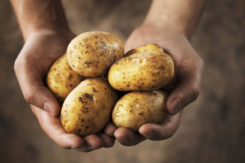 12 Foods You Should Buy Organic