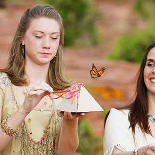 Wedding Rice Toss Alternatives