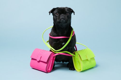 Pepper with Nina Peter's Python Box Bags ($475).
Photo courtesy of Avenue32.
Pepper with Nina Peter's Python Box Bags ($475).
Photo courtesy of Avenue32.