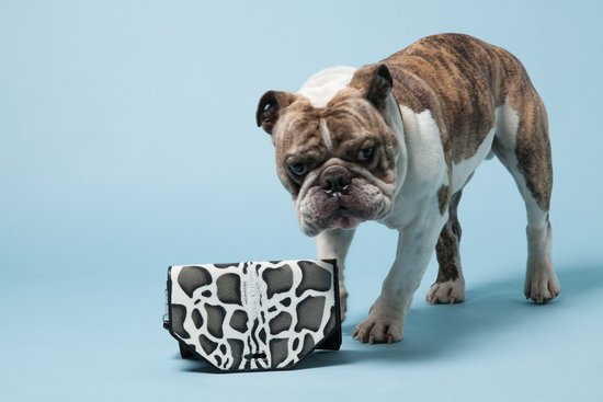Papillon with 3.1 Phillip Lim's 31 Second Clutch in Giraffe Stingray ($975).
Photo courtesy of Avenue32.
Papillon with 3.1 Phillip Lim's 31 Second Clutch in Giraffe Stingray ($975).
Photo courtesy of Avenue32.