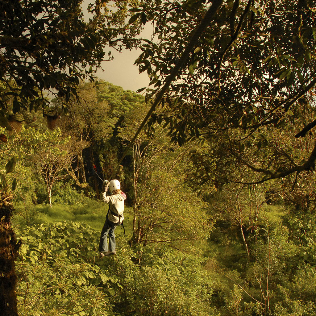 For the Thrill-Seeking Bride: Zip-lining and More For the Thrill-Seeking Bride: Zip-lining and More