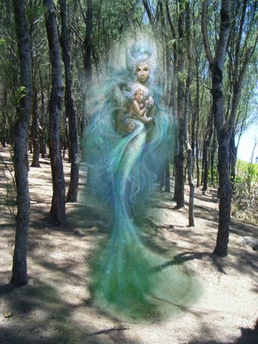 Mermaids in the Forest