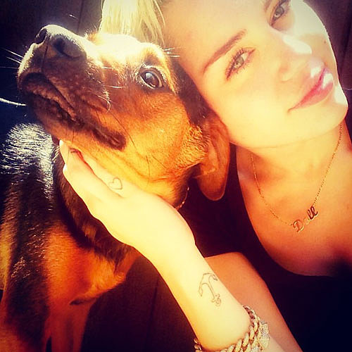 Celebrities Using Instagram