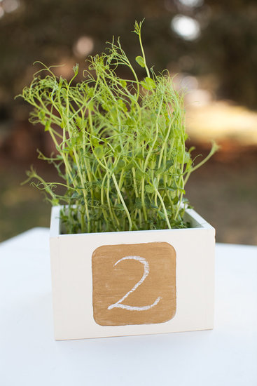 Metallic Chalkboard Table Numbers