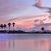 Miami, FL