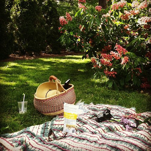 Plan a Picnic Plan a Picnic