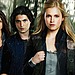 The 100