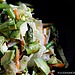 Let's Eat . . . Chopped Salad!
