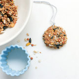 Homemade Wild Bird Treats Homemade Wild Bird Treats