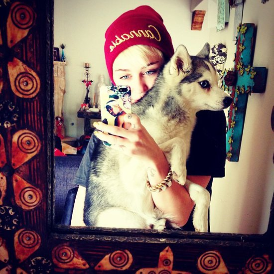 Miley Cyrus took a selfie with one of her many pups in May 2013.
Source: Instagram user mileycyrus
Miley Cyrus took a selfie with one of her many pups in May 2013.
Source: Instagram user mileycyrus