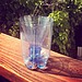 DIY Bug and Wasp Trap