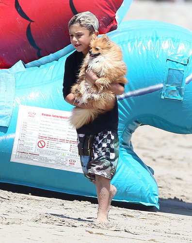 Kingston Rossdale carried a dog.
Kingston Rossdale carried a dog.