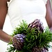 Artichokes and Ferns