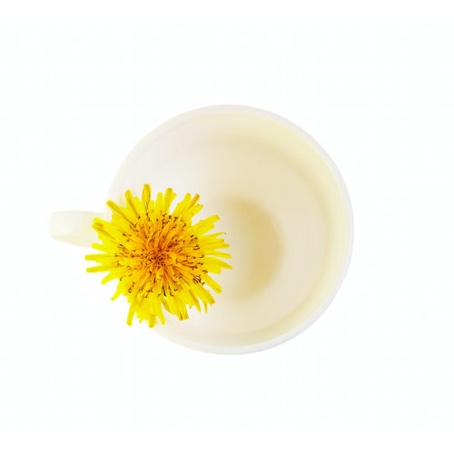 Dandelion Root Benefits