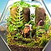 Terrarium