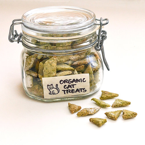 Homemade Organic Spinach and Chicken Cat Treats Homemade Organic Spinach and Chicken Cat Treats