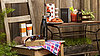 POPSUGAR Special Edition Must Have Summer For Him — Revealed!