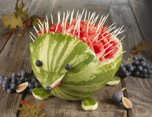 A Friendly Hedgehog A Friendly Hedgehog