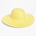Nordstrom Floppy Hat