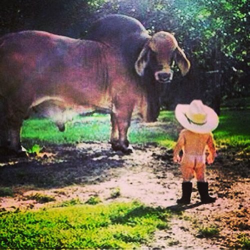 Josh Henderson revealed a picture of himself as a baby cowboy.
Source: Instagram user joshhendu
Josh Henderson revealed a picture of himself as a baby cowboy.
Source: Instagram user joshhendu