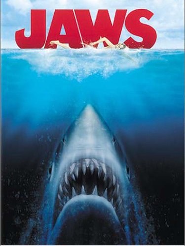 Shark Attack Shark Attack
