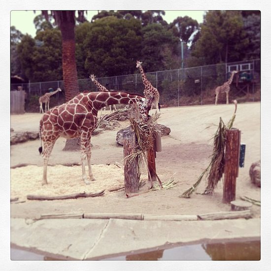 Wild About Wildlife Wild About Wildlife