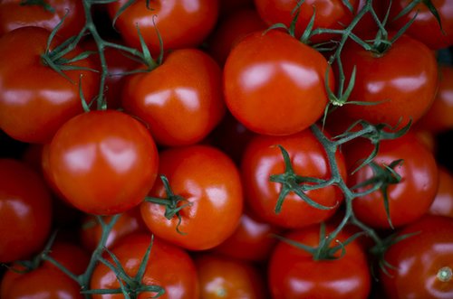 What to Buy: Early Girl Tomatoes What to Buy: Early Girl Tomatoes