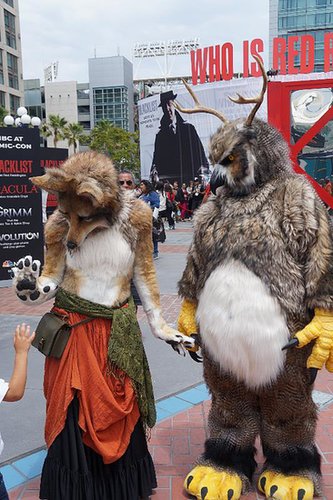 Moonkin, World of Warcraft Moonkin, World of Warcraft