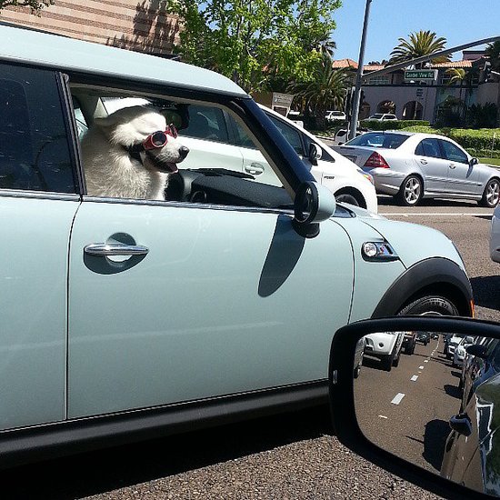 Cruisin' Cruisin'