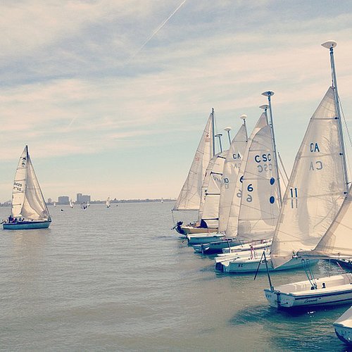 Sail the Bay Sail the Bay