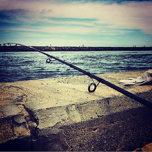 Go Fishing Go Fishing