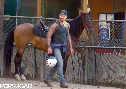 Victoria Beckham Is on a Horse! Victoria Beckham Is on a Horse!