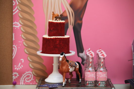 Cowgirl Cake Cowgirl Cake