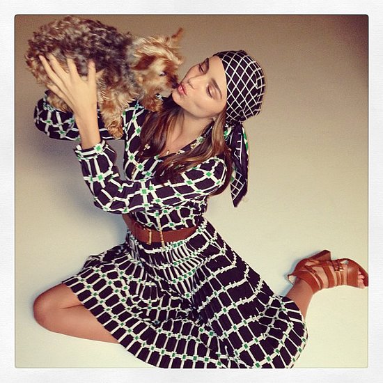 Miranda Kerr can usually be seen toting her Yorkshire terrier, Frankie, around NYC. He's popped up on many of Miranda's photo shoots, and even graced a cover of Vogue Italia. Miranda and her husband, Orlando Bloom, also have another pup, a rescue dog named Sidi.
Source: Instagram user mirandakerr
Miranda Kerr can usually be seen toting her Yorkshire terrier, Frankie, around NYC. He's popped up on many of Miranda's photo shoots, and even graced a cover of Vogue Italia. Miranda and her husband, Orlando Bloom, also have another pup, a rescue dog named Sidi.
Source: Instagram user mirandakerr