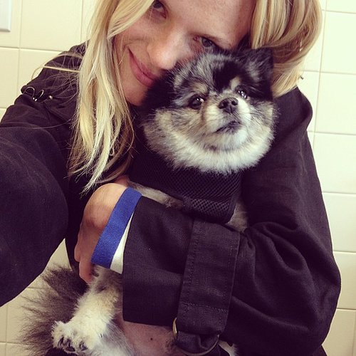 Anne V. has an extremely cute companion in her little dog, Anchovy (Chovy for short).
Source: Instagram user annev_official
Anne V. has an extremely cute companion in her little dog, Anchovy (Chovy for short).
Source: Instagram user annev_official