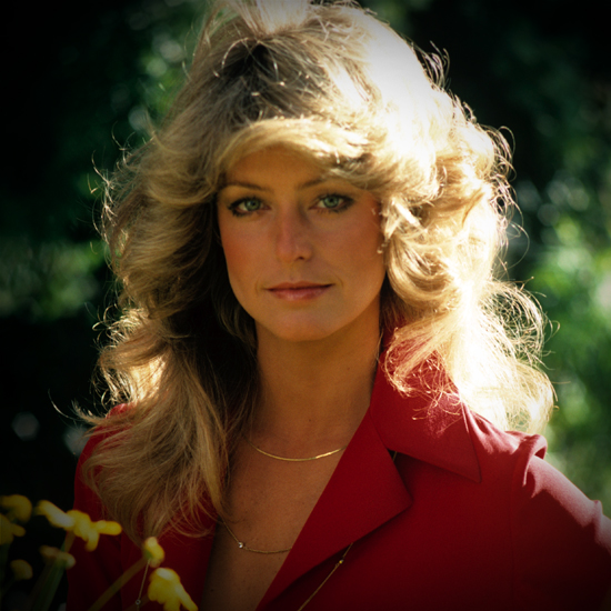 Farrah-Fawcett-Hairstyle-Tutorial.jpg