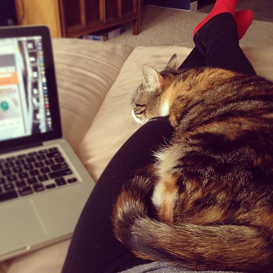 Work From Home Work From Home