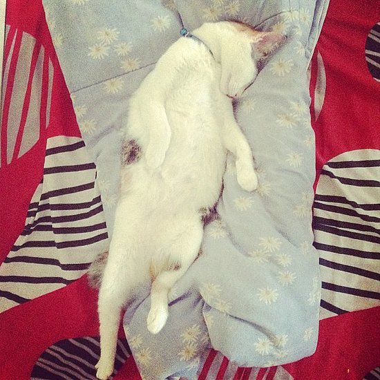 Out Cold Out Cold