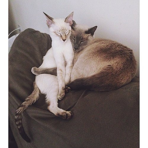 Nap Time Nap Time