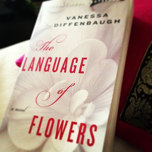 Pollybert shared her Summer read, The Language of Flowers by Vanessa Diffenbaugh.
Pollybert shared her Summer read, The Language of Flowers by Vanessa Diffenbaugh.