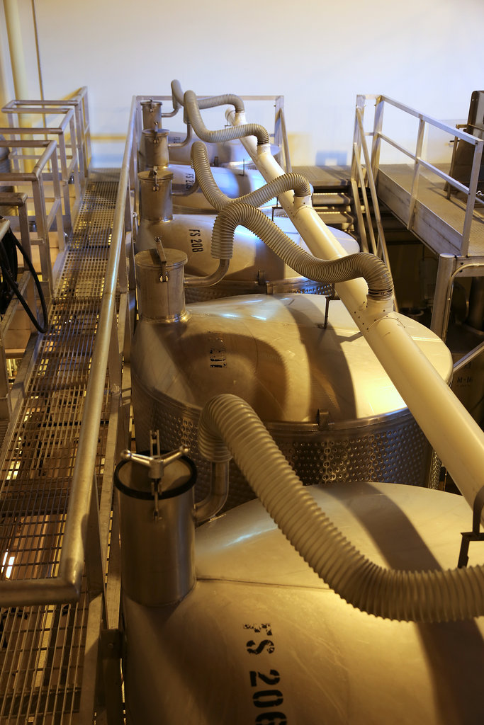 Undergoing First Fermentation Undergoing First Fermentation